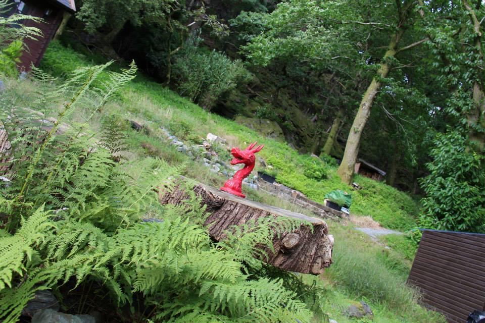 Bryn Dinas Camping Pods At The Foot Of Mt Snowdon Beddgelert Exterior foto
